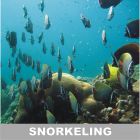 дайвинг в италии