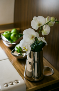 Bombardier Challenger 605 OE-ISU