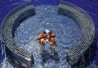 Cavallino Bianco Family Spa Grand Hotel