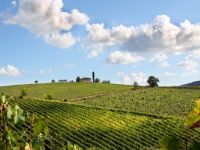 Consumerto Consumer-C2C. Разработка уникальных программ. 