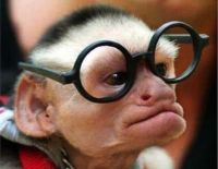 О серьёзных вещах с юмором