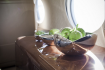 Gulfstream G550 OE-LPN